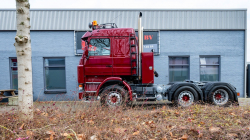 20260201-Tom-Holding-00290